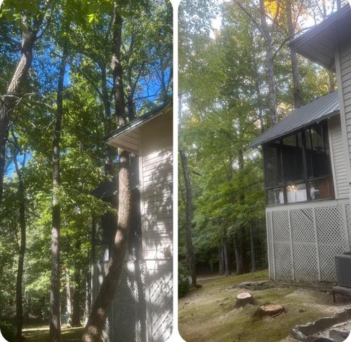  for McBee’s Tree Service in Sewanee, TN