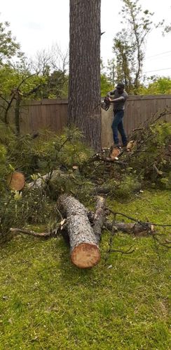 Tree Removal for Tree2Tree Tree Service in Sherman, Texas