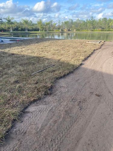 Sodding for Sunshine Sod & More Inc. in Arcadia, FL