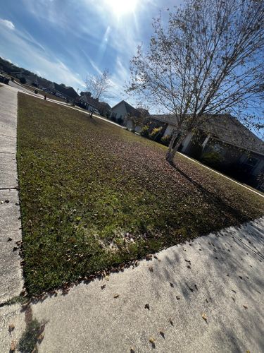  for Enhanced Landscape in Daphne, AL