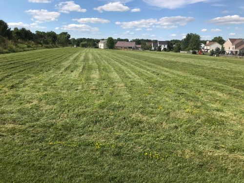 Commercial Mowing for A1 Bush Hogging & Lawn Service in Columbus, OH