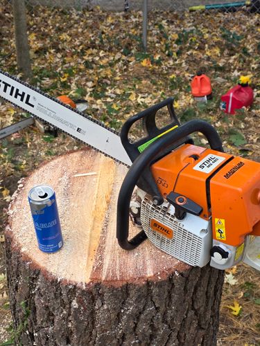  for D Hale Tree Service in Ann Arbor, MI