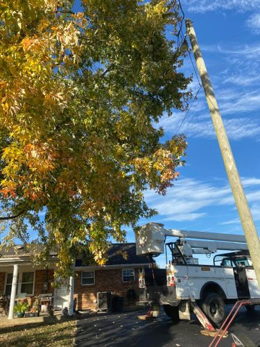 Fall and Spring Clean Up for Atwood’s Tree Care in Liberty,  KY