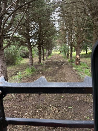 Land maintenance and brush control for Legge Farms and Drainage in Garner, IA