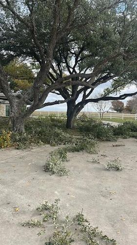  for C & C Lawn Care and Maintenance in New Braunfels, TX