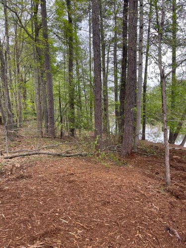 Land Clearing for G&H Forestry Mulching and Land Services in Fayetteville, GA