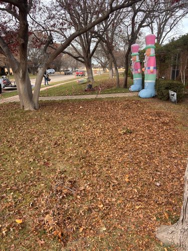 Lawn Maintenance for Marple Services in Amarillo, TX