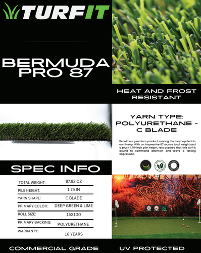 Turf and Artificial Grass for Citiscapes, LLC in Phoenix, AZ