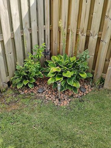  for Lindsey's Lawn Care in Inman, SC