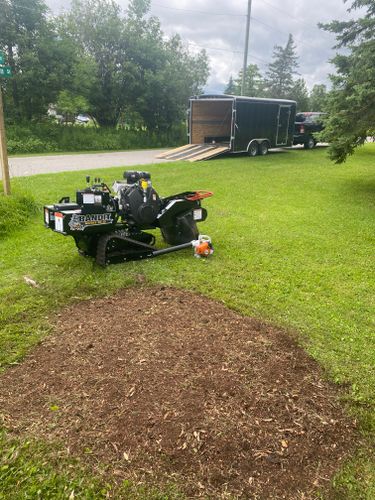 Stump Grinding for Bear Creek Tree Service LLC in Rudyard, MI