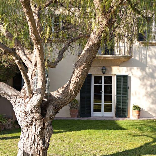 Tree Removal for Terra Heights Tree Experts & Landscaping  in Grass Valley,  CA