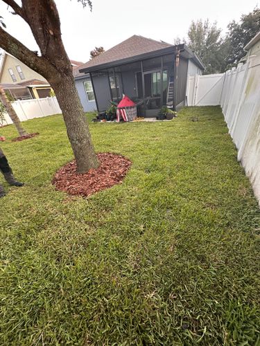 Tree Services for Ludlows Services in Davenport, FL