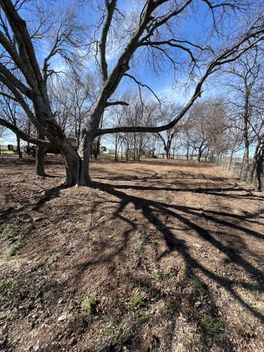 Land Clearing for NTX Outdoors Concrete and Excavation LLC in Venus, TX