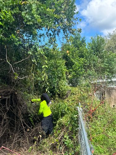  for Broadway Tree Care in Inverness, FL
