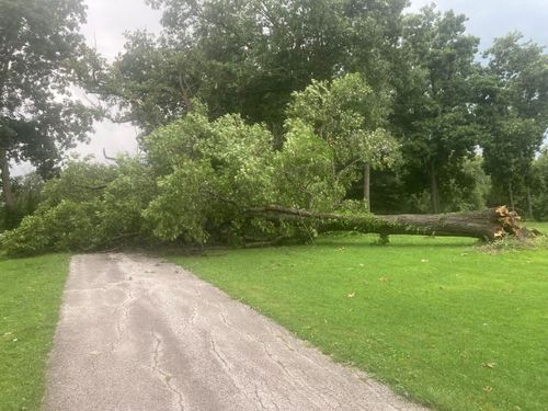  for Lawn Ranger Yard And Tree Service LLC in Ottumwa, IA
