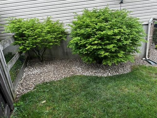 All Photos for A&H Property Solutions LLC in Florence, KY