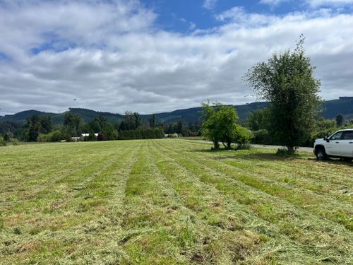 All Photos for JW&SON in Springfield, OR