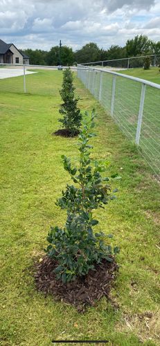 Shrub Trimming for L & L Yard Services in Weatherford,  TX