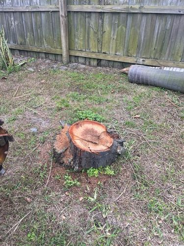  for KB’s Stump Removal in Pinellas county, FL