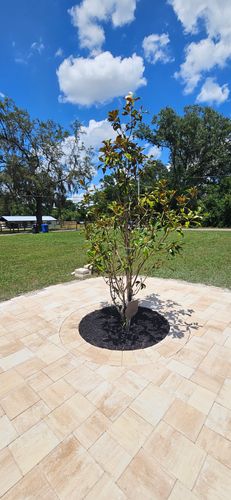 Pavers for Tezna Landscaping, Trees & Pavers in Valrico, FL
