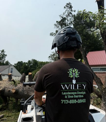  for Wiley Landscape Design in York, PA