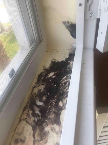 Commercial Mold Removal for Titan Remediation Industries in West Palm Beach, FL