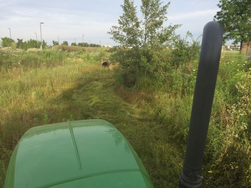  for A1 Bush Hogging & Lawn Service in Columbus, OH