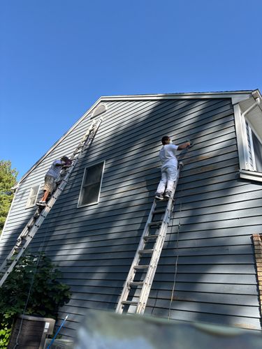  for Guss Professional Painting and Wallpaper in Clifton, NJ