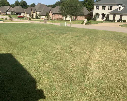  for Harness Lawn and Land Management  in Jonesboro ,  AR