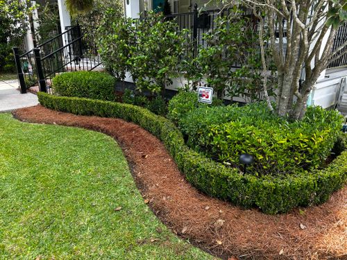  for Jay C’s Touch Landscaping & Pressure Washing Services LLC in Marrero, LA
