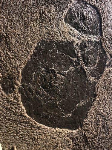 All Photos for Foothills Spill Response Team LLC in  Rutherfordton, NC