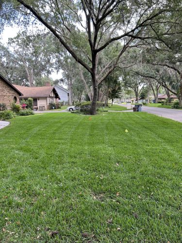 All Photos for Estrada All Pro Lawn Service in Auburndale, Florida