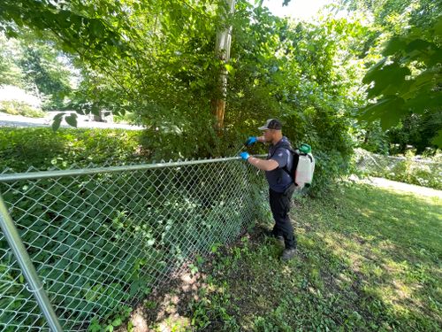 Weed Control for Perillo Property maintenance in Hopewell Junction, NY