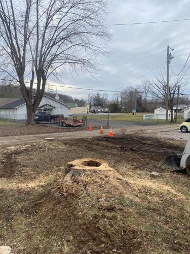 Fall and Spring Clean Up for Atwood’s Tree Care in Liberty,  KY