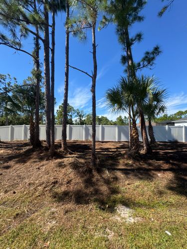 Lawn Maintenance for Rize N’ Grind  in Punta Gorda, FL