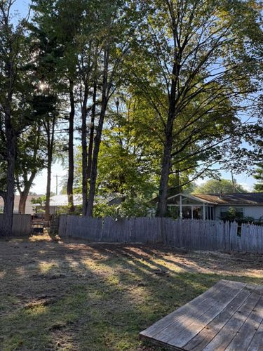  for Sterlings Tree Removal in Cobleskill, New York