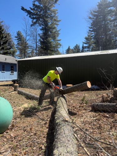 Tree Removal for J&Q Tree Service in Paradise, MI