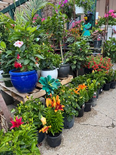 Gardening for Mayfield Landscaping in Staunton, IL