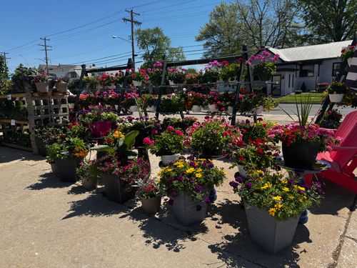 Gardening for Mayfield Landscaping in Staunton, IL