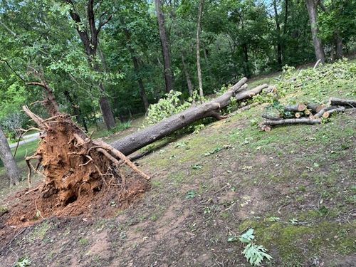  for CND Tree Services in Claremore, OK