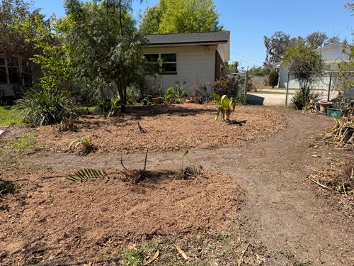  for Greene Acres Stump Grinding in Plant City, FL