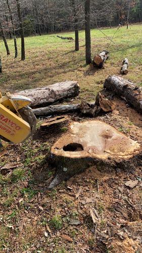 Tree Removal for Gray’s Tree Service Inc in Maurertown, VA