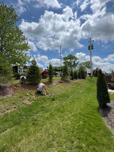  for Buckeye Lawns & Landscaping LLC in Millersburg, OH