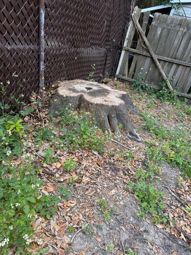  for Greene Acres Stump Grinding in Plant City, FL
