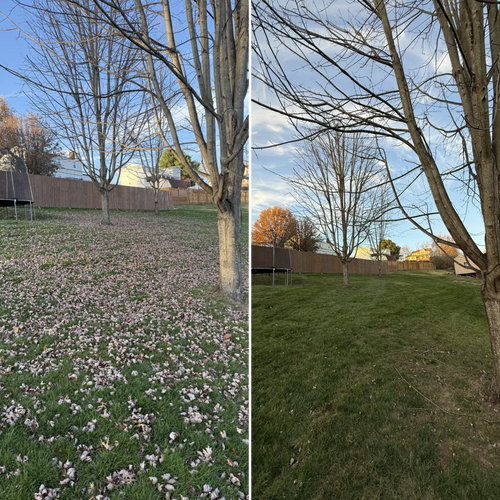 Hillside Maintenance for Green Hills Lawn Service in Washington, PA