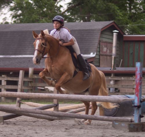 Lessons for Blue Stone Farm in Wantage, NJ