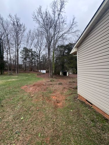  for Diversified Tree Company in Trinity, NC
