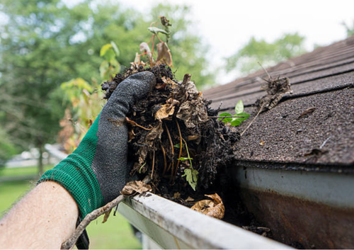 All Photos for Big G's Lawncare & Plowing in Bangor, ME