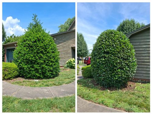  for Stick’s Paint & Garden Maintenance in Morganton, NC