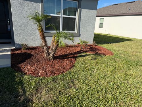 Lawn Maintenance for The Yardman in Tampa, FL